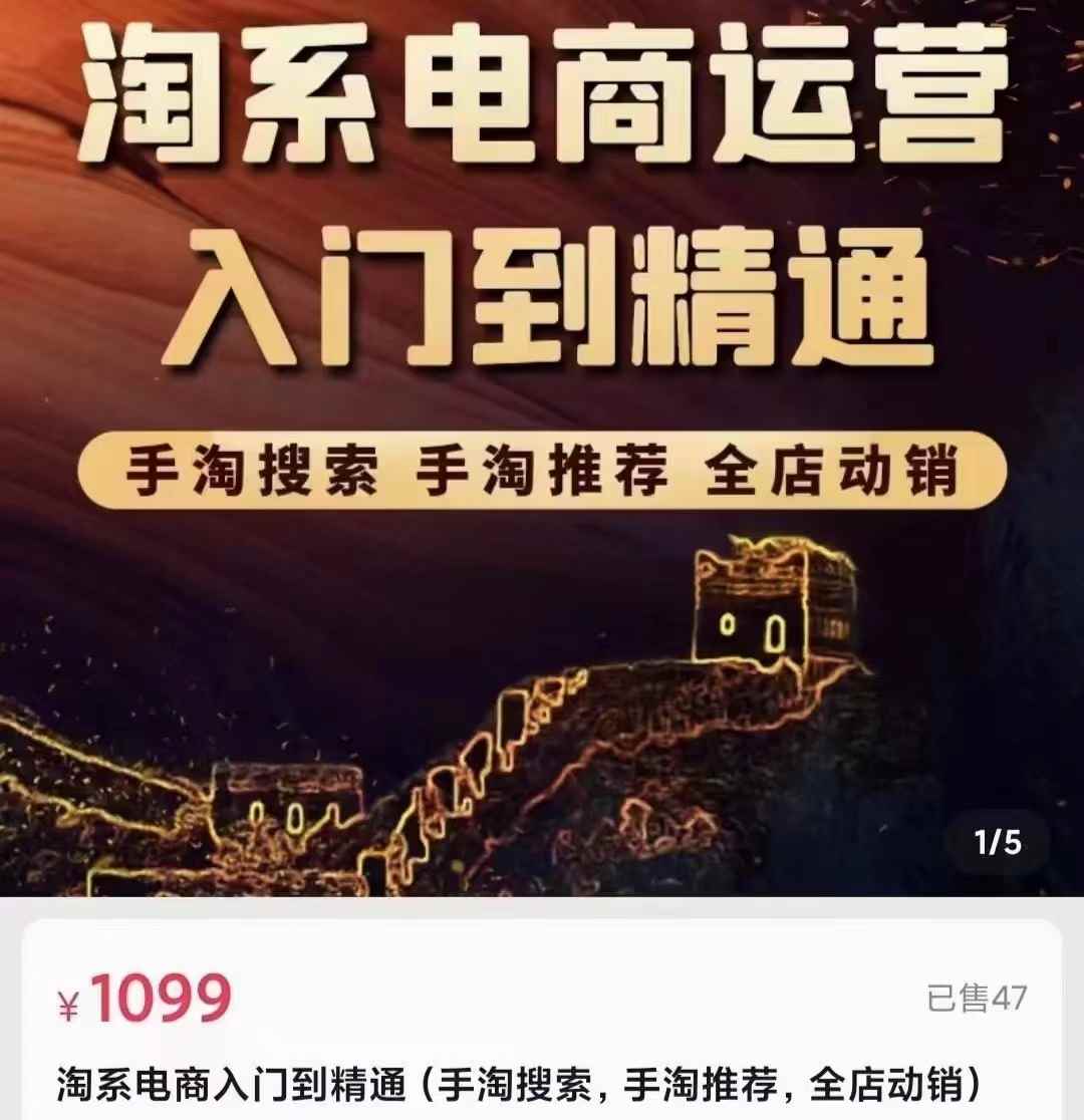 淘系电商入门到精通 手淘搜索，手淘推荐，全店动销 （价值1099元）