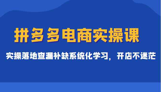拼多多电商实操课，实操落地查漏补缺系统化学习，开店不迷茫（价值299元）
