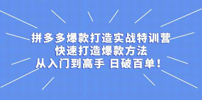拼多多爆款打造实战特训营：快速打造爆款方法，从入门到高手 日破百单