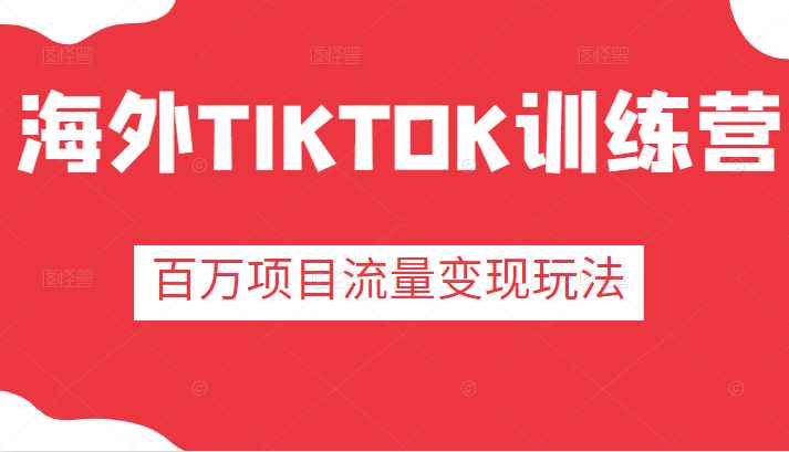 海外TIKTOK训练营，百万项目海外版抖音tiktok流量变现玩法
