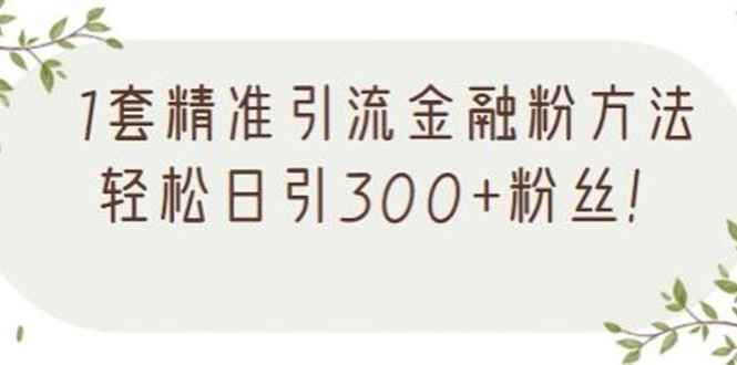 1套精准引流金融粉方法，轻松日引300+粉丝【视频课程】