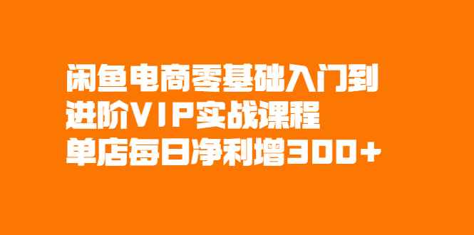 闲鱼电商零基础入门到进阶VIP实战课程，帮助你掌握闲鱼电商所需的各项技能