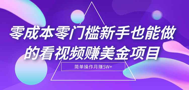 零成本零门槛新手也能做的看视频赚美金项目，轻松月赚5W+【视频教程】