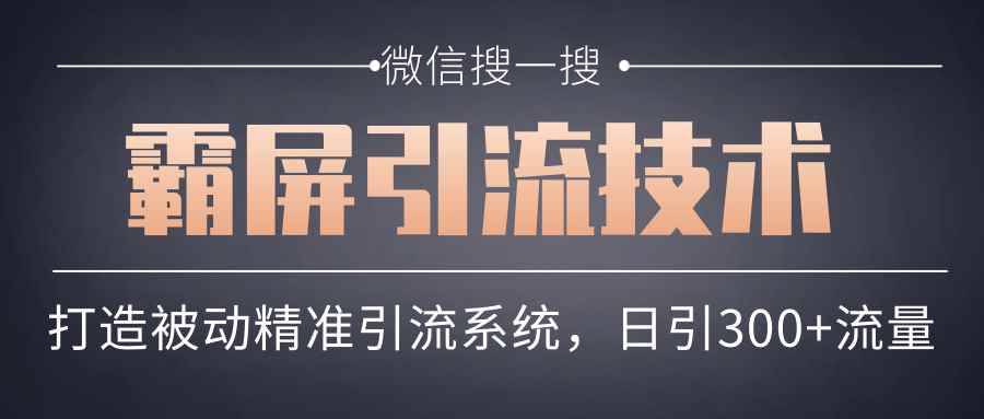 微信搜一搜霸屏引流技术，打造被动精准引流系统，轻松日引300+流量【第六课】